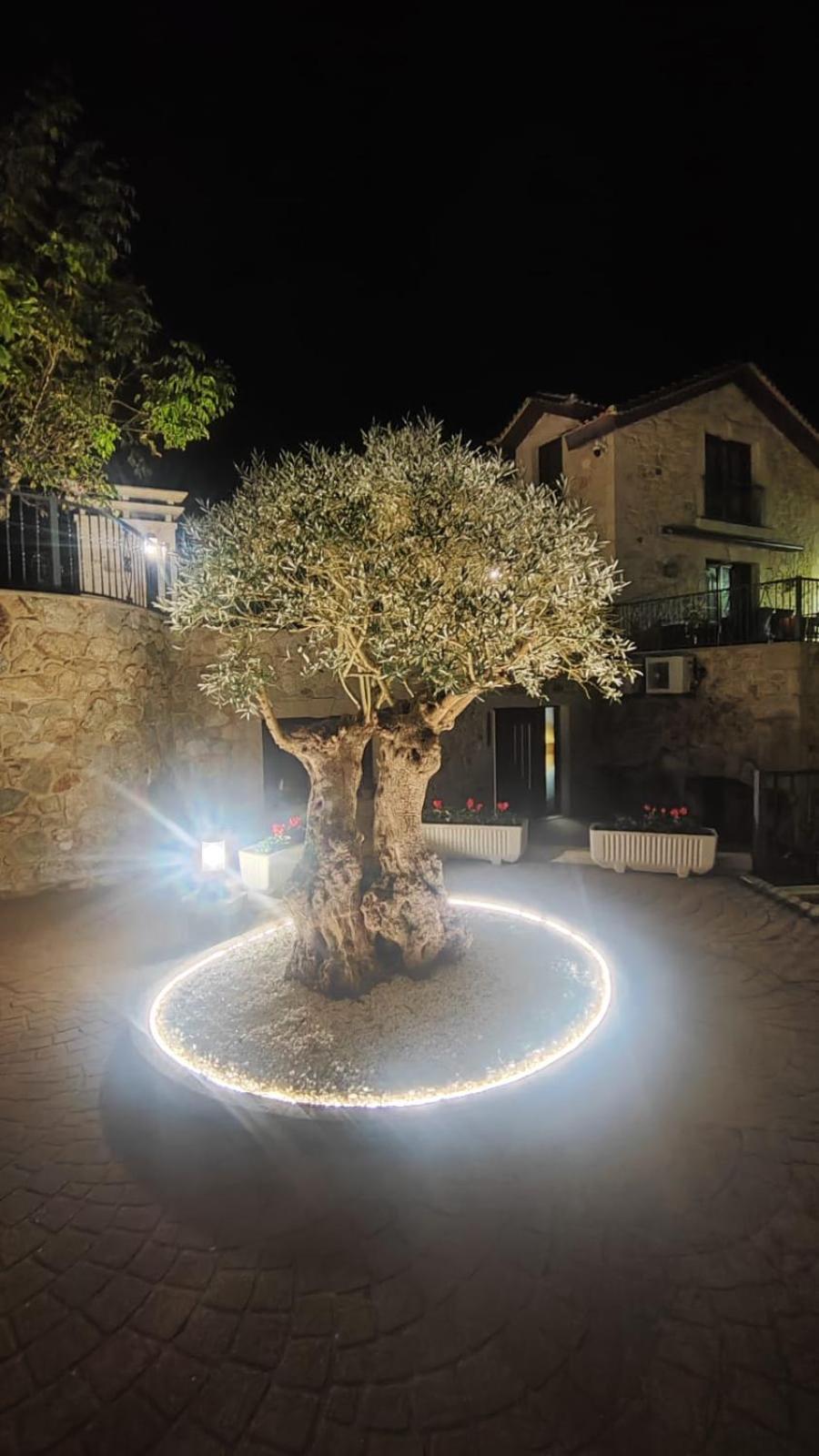 Marouco Hotel A Guarda